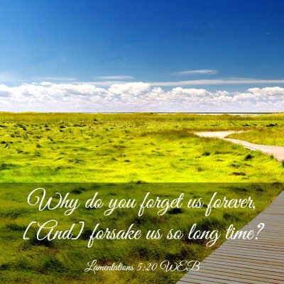 Picture 03 - Lamentations 5:20 WEB - Why do you forget us forever, [And] forsake us so - Bible Verse Picture