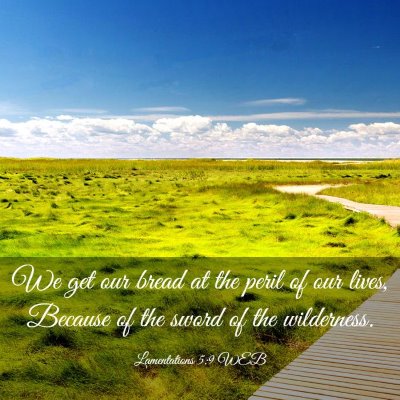 Picture 03 - Lamentations 5:9 WEB - We get our bread at the peril of our lives, - Bible Verse Picture