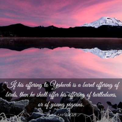 Picture 03 - Leviticus 1:14 WEB - 