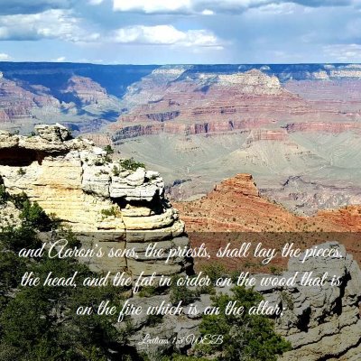 Picture 03 - Leviticus 1:8 WEB - and Aaron's sons, the priests, shall lay the - Bible Verse Picture