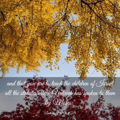 Picture 03 - Leviticus 10:11 WEB - and that you are to teach the children of Israel - Bible Verse Picture