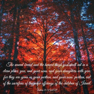 Picture 03 - Leviticus 10:14 WEB - The waved breast and the heaved thigh you shall - Bible Verse Picture