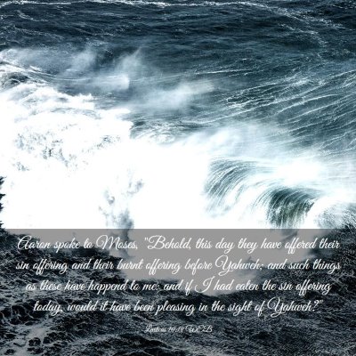 Picture 03 - Leviticus 10:19 WEB - Aaron spoke to Moses, 