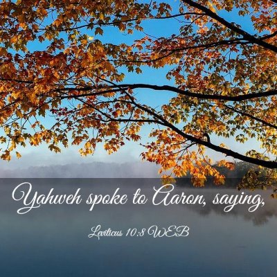 Picture 03 - Leviticus 10:8 WEB - Yahweh spoke to Aaron, - Bible Verse Picture