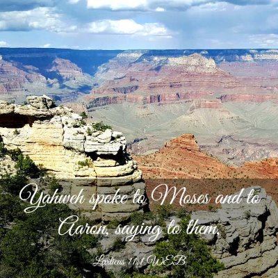 Picture 03 - Leviticus 11:1 WEB - Yahweh spoke to Moses and to Aaron, saying to - Bible Verse Picture