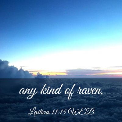 Picture 03 - Leviticus 11:15 WEB - any kind of - Bible Verse Picture