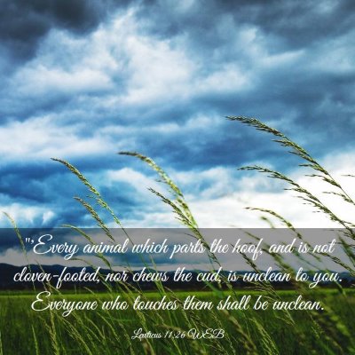 Picture 03 - Leviticus 11:26 WEB - 