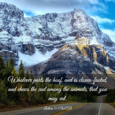 Picture 03 - Leviticus 11:3 WEB - Whatever parts the hoof, and is cloven-footed, - Bible Verse Picture