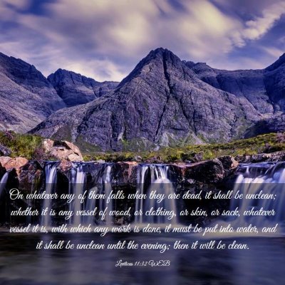 Picture 03 - Leviticus 11:32 WEB - On whatever any of them falls when they are dead, - Bible Verse Picture