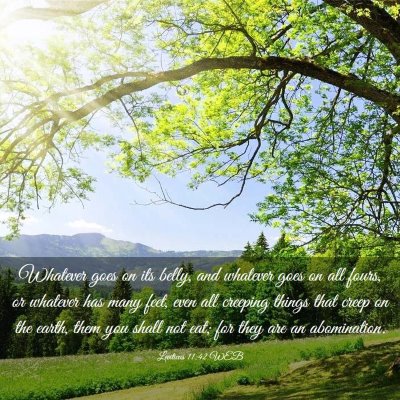 Picture 03 - Leviticus 11:42 WEB - Whatever goes on its belly, and whatever goes on - Bible Verse Picture