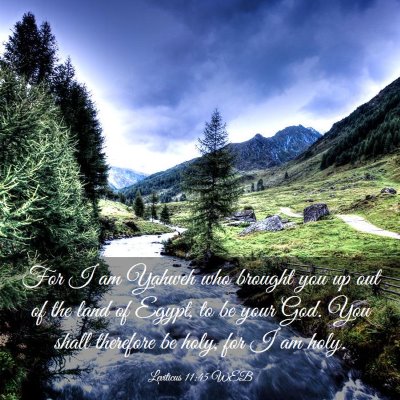 Picture 03 - Leviticus 11:45 WEB - For I am Yahweh who brought you up out of the - Bible Verse Picture