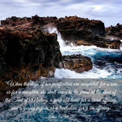 Picture 03 - Leviticus 12:6 WEB - 