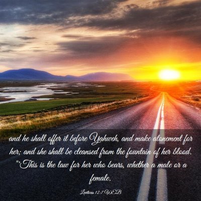 Picture 03 - Leviticus 12:7 WEB - and he shall offer it before Yahweh, and make - Bible Verse Picture