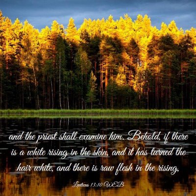 Picture 03 - Leviticus 13:10 WEB - and the priest shall examine him. Behold, if - Bible Verse Picture