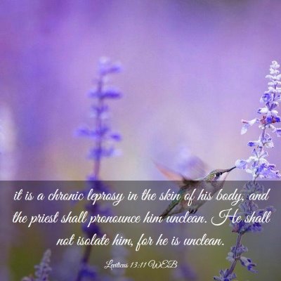 Picture 03 - Leviticus 13:11 WEB - it is a chronic leprosy in the skin of his body, - Bible Verse Picture