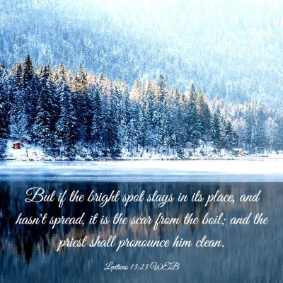 Picture 03 - Leviticus 13:23 WEB - But if the bright spot stays in its place, and - Bible Verse Picture
