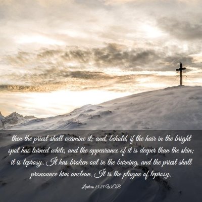 Picture 03 - Leviticus 13:25 WEB - then the priest shall examine it; and, behold, if - Bible Verse Picture