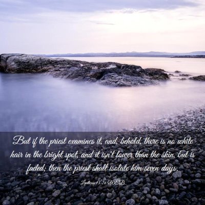 Picture 03 - Leviticus 13:26 WEB - But if the priest examines it, and, behold, there - Bible Verse Picture