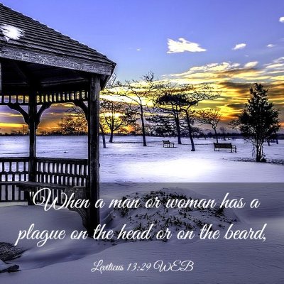 Picture 03 - Leviticus 13:29 WEB - 