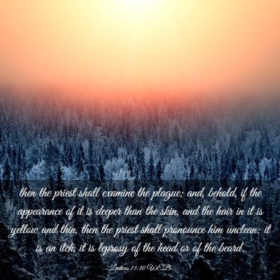 Picture 03 - Leviticus 13:30 WEB - then the priest shall examine the plague; and, - Bible Verse Picture