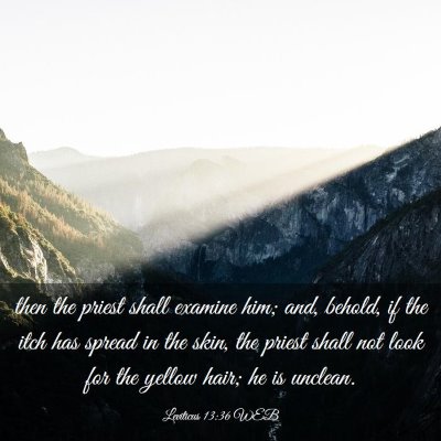Picture 03 - Leviticus 13:36 WEB - then the priest shall examine him; and, behold, - Bible Verse Picture