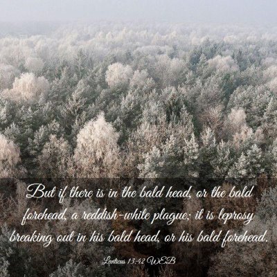 Picture 03 - Leviticus 13:42 WEB - But if there is in the bald head, or the bald - Bible Verse Picture