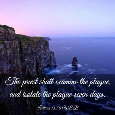 Picture 03 - Leviticus 13:50 WEB - The priest shall examine the plague, and isolate - Bible Verse Picture