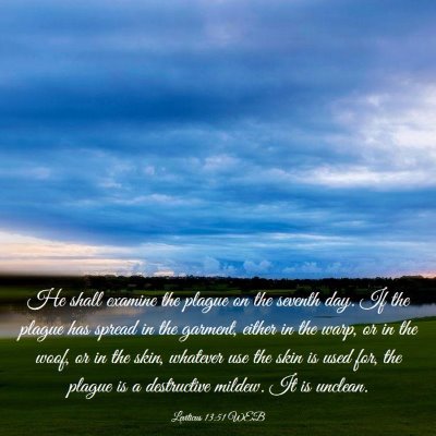 Picture 03 - Leviticus 13:51 WEB - He shall examine the plague on the seventh day. - Bible Verse Picture