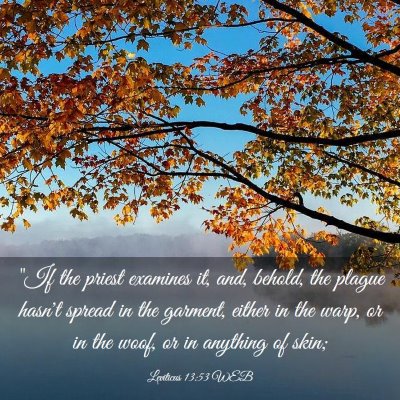 Picture 03 - Leviticus 13:53 WEB - 