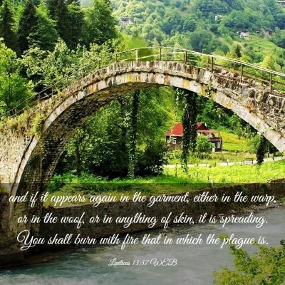 Picture 03 - Leviticus 13:57 WEB - and if it appears again in the garment, either in - Bible Verse Picture