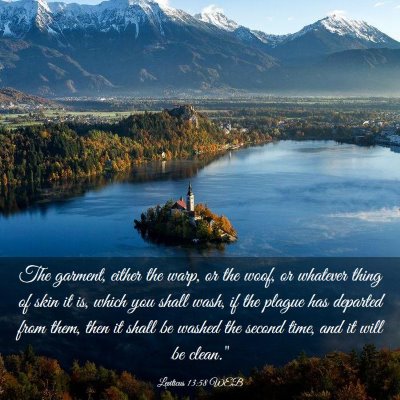Picture 03 - Leviticus 13:58 WEB - The garment, either the warp, or the woof, or - Bible Verse Picture