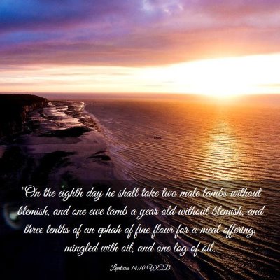 Picture 03 - Leviticus 14:10 WEB - 
