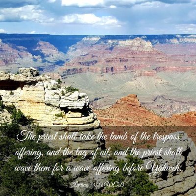 Picture 03 - Leviticus 14:24 WEB - The priest shall take the lamb of the trespass - Bible Verse Picture