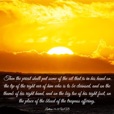 Picture 03 - Leviticus 14:28 WEB - Then the priest shall put some of the oil that is - Bible Verse Picture