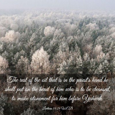 Picture 03 - Leviticus 14:29 WEB - The rest of the oil that is in the priest's hand - Bible Verse Picture
