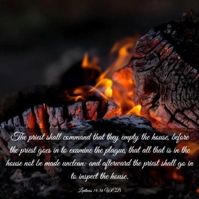 Picture 03 - Leviticus 14:36 WEB - The priest shall command that they empty the - Bible Verse Picture