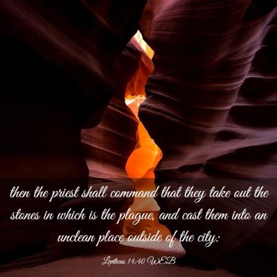 Picture 03 - Leviticus 14:40 WEB - then the priest shall command that they take out - Bible Verse Picture