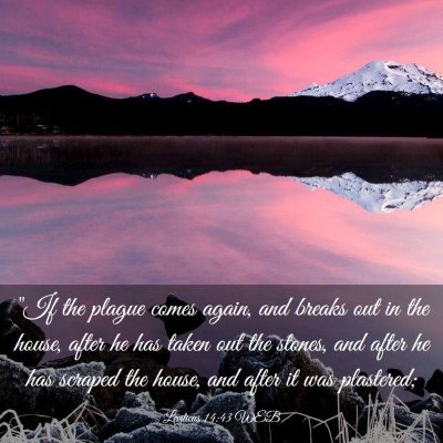 Picture 03 - Leviticus 14:43 WEB - 