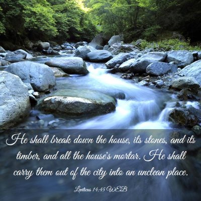 Picture 03 - Leviticus 14:45 WEB - He shall break down the house, its stones, and - Bible Verse Picture