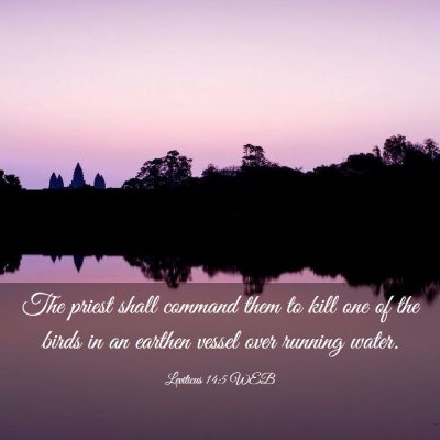 Picture 03 - Leviticus 14:5 WEB - The priest shall command them to kill one of the - Bible Verse Picture