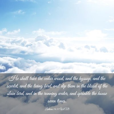 Picture 03 - Leviticus 14:51 WEB - He shall take the cedar wood, and the hyssop, and - Bible Verse Picture