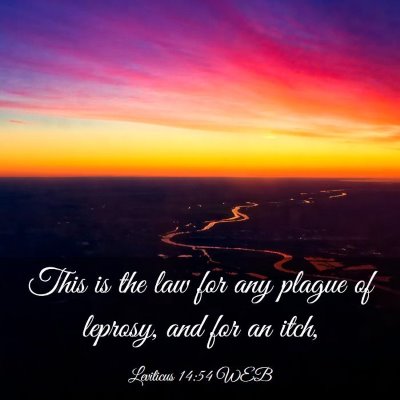 Picture 03 - Leviticus 14:54 WEB - This is the law for any plague of leprosy, and - Bible Verse Picture