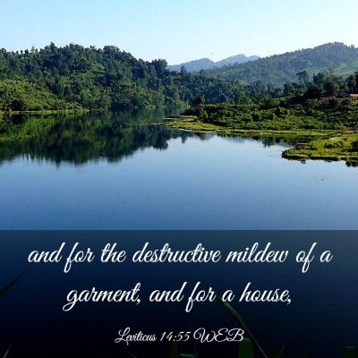 Picture 03 - Leviticus 14:55 WEB - and for the destructive mildew of a garment, and - Bible Verse Picture