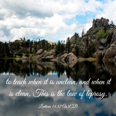 Picture 03 - Leviticus 14:57 WEB - to teach when it is unclean, and when it is - Bible Verse Picture
