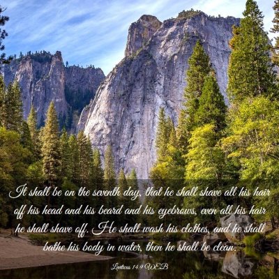 Picture 03 - Leviticus 14:9 WEB - It shall be on the seventh day, that he shall - Bible Verse Picture