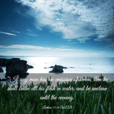Picture 03 - Leviticus 15:16 WEB - 