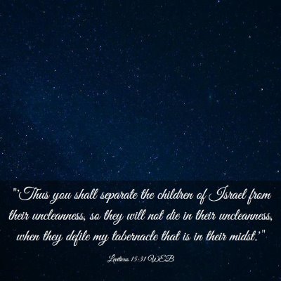 Picture 03 - Leviticus 15:31 WEB - 