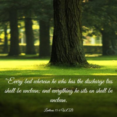Picture 03 - Leviticus 15:4 WEB - 