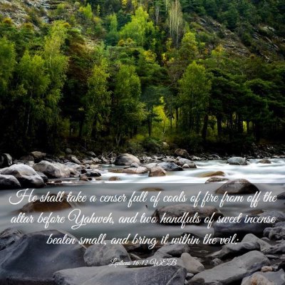 Picture 03 - Leviticus 16:12 WEB - He shall take a censer full of coals of fire from - Bible Verse Picture