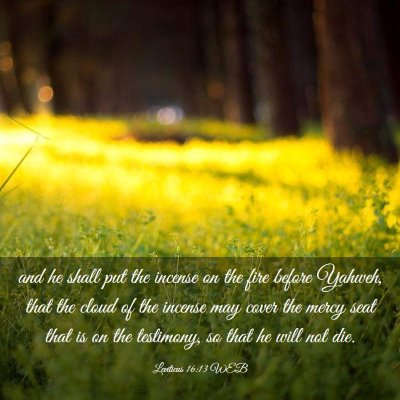 Picture 03 - Leviticus 16:13 WEB - and he shall put the incense on the fire before - Bible Verse Picture